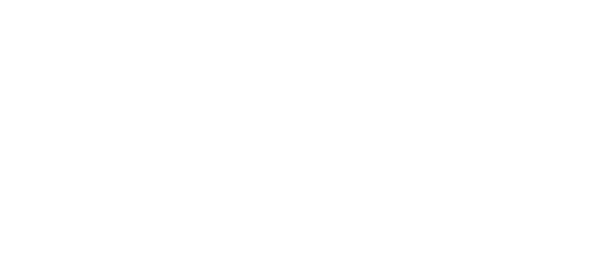 Vogesenblitz